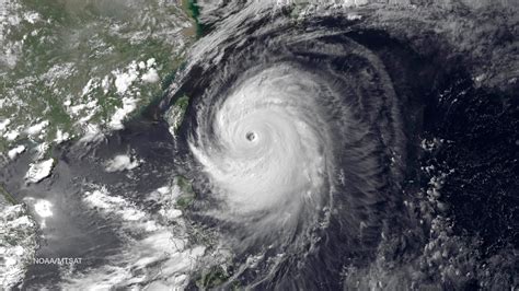 typhoon current.
